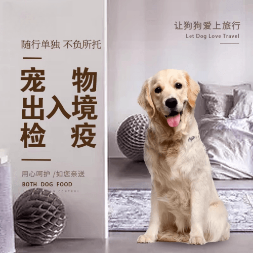 乌海市宠物托运到哥伦比亚猫狗宠物入境规定和