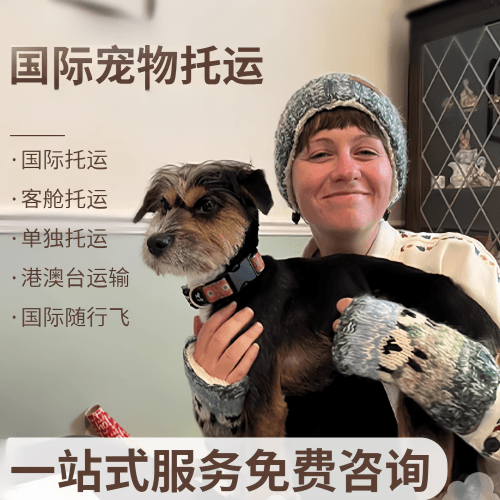乌海市国际宠物托运到阿根廷宠物入境规定和要