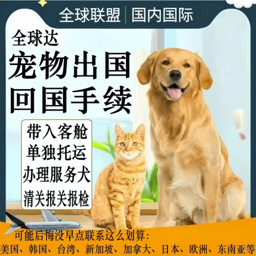 乌海市宠物托运到柬埔寨宠物入境规定和要求