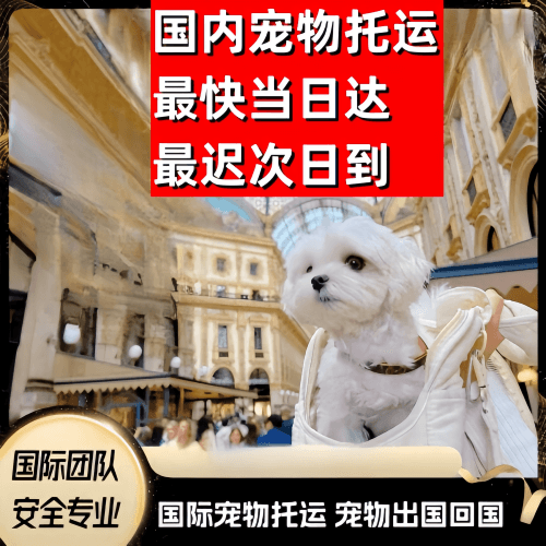 乌海市到澳大利亚（澳洲）宠物入境规定和要求